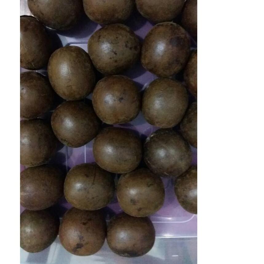 

♧ BUAH LO HAN KUO / LOHANKUO ISI 10 BUAH ♥