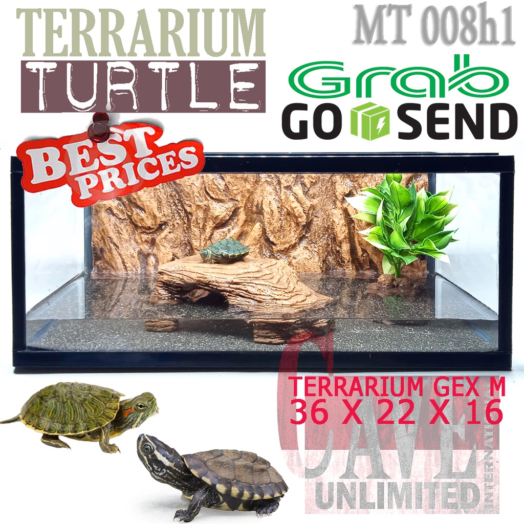 MT008H1 TERRARIUM AKUARIUM KANDANG REPTILE KURA KURA AIR TURTLE RES BRAZIL KURA AMBON ENCLOSURE FULL