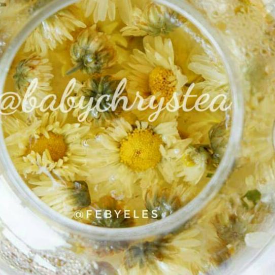 

Ω Chrysanthemum Tea ➩