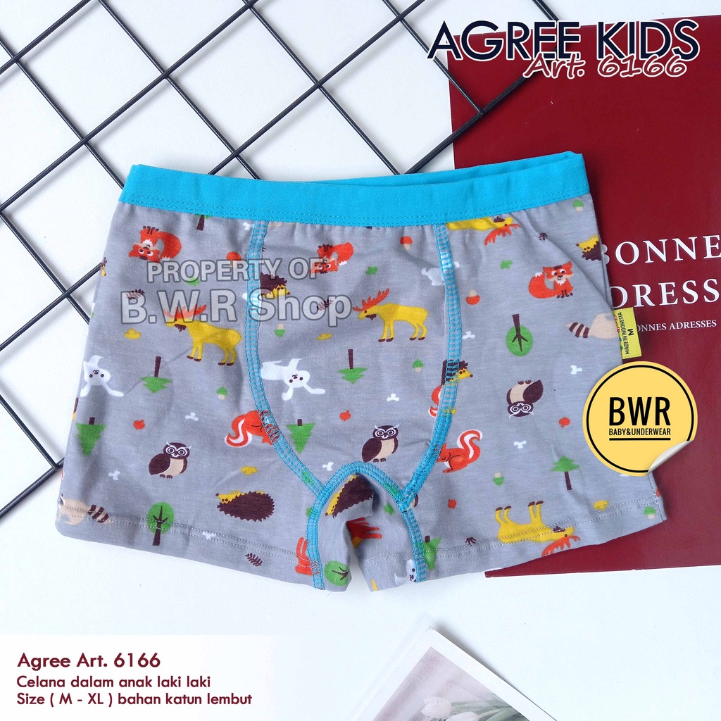 [ 2pc ] CD Boxer Agree 6166 WARNA / Celana Dalam Boxer Anak Laki Laki Putih Motif Random | Bwr