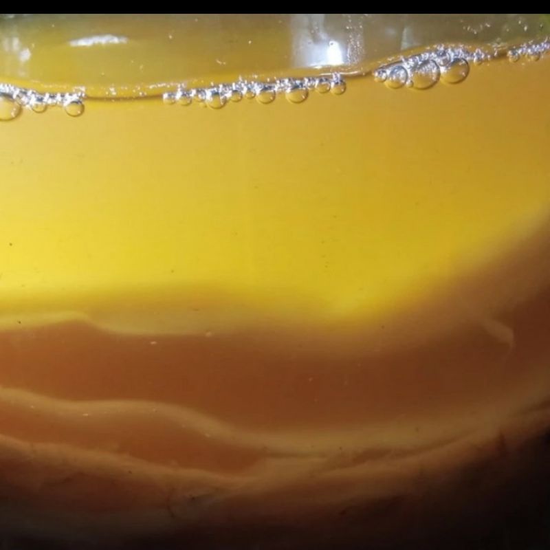 

Bibit Scoby Kombucha, Jamur Kombucha, Teh Berkhasiat, Hana Kombucha, Konsultasi Gratis