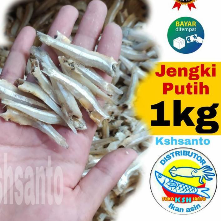 

➾ ikan asin teri jengki putih murah-1kg ✶