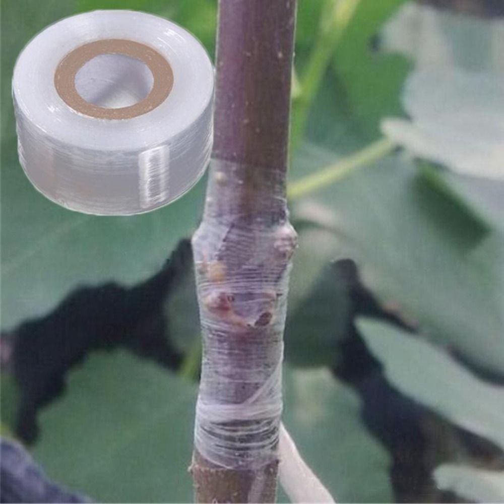 [Elegan] Grafting Tape Self-adhesive PVC Yard Stretchable Fruit Tree Pohon Tanaman Alat Berkebun