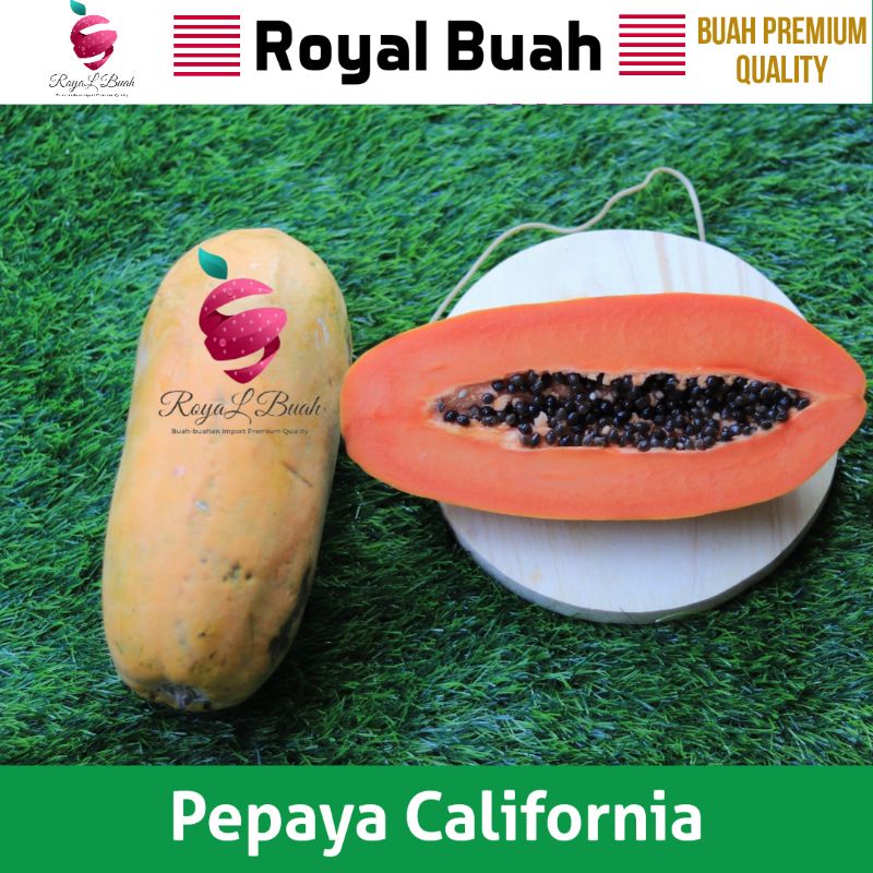 

pepaya California matang pohon 1Kg