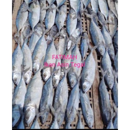 

Terlaku.../ Ikan Asin Peda Banyar SEDANG isi 250gram Murah Enak
