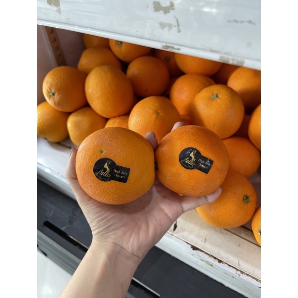

jeruk navel sunkist jeruk potong jeruk peras manis berat 900-1000 g