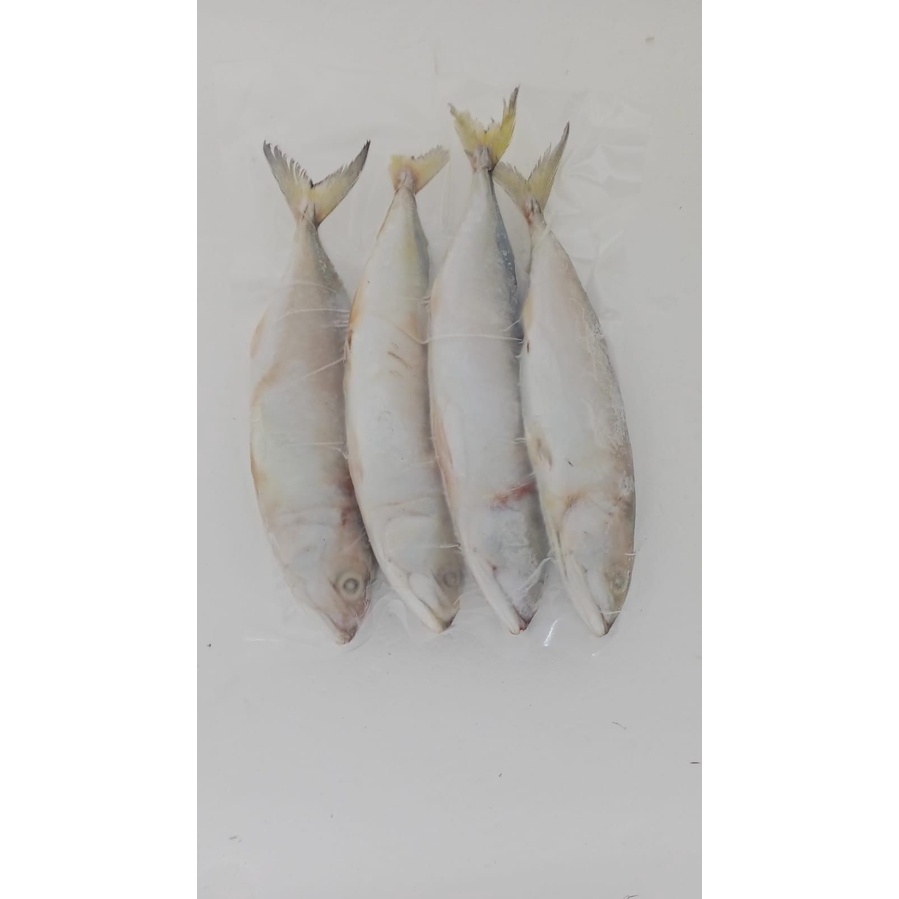 Ikan Kembung Banjar Lokal Utuh Frozen Seafood Quality - 500gr