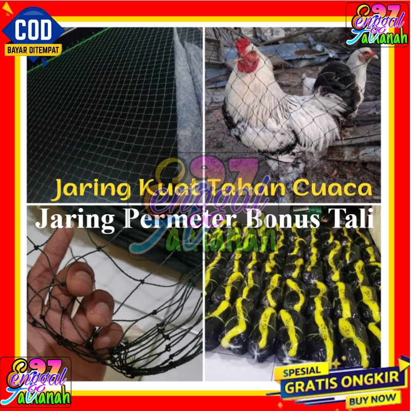 Jaring Tanaman Rambat Sayuran Buah Anggur/Jaring Tanaman Rambatan/Jaring Rambatan Tanaman/Jaring