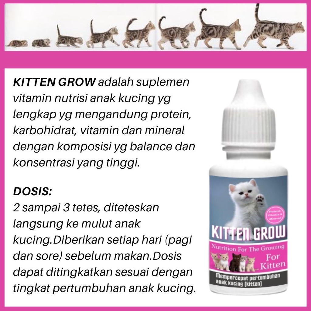 Kitten Grow Obat Vitamin Anak Kucing Nutrisi Pertumbuhan Kitten Cat Kucing FEZONE