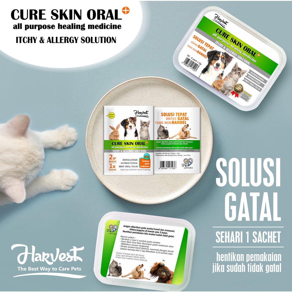 obat jamur kucing anjing ampuh scabies alergi gatal bakteri kuman infeksi - obat minum - harvest cur