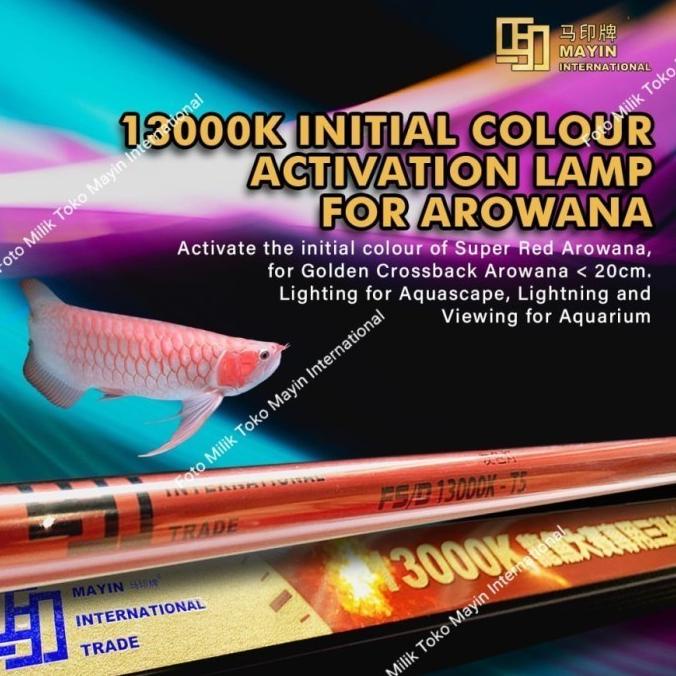 Lampu Tanning Celup Submersible T5 Mayin 13000K Aquarium 92Cm