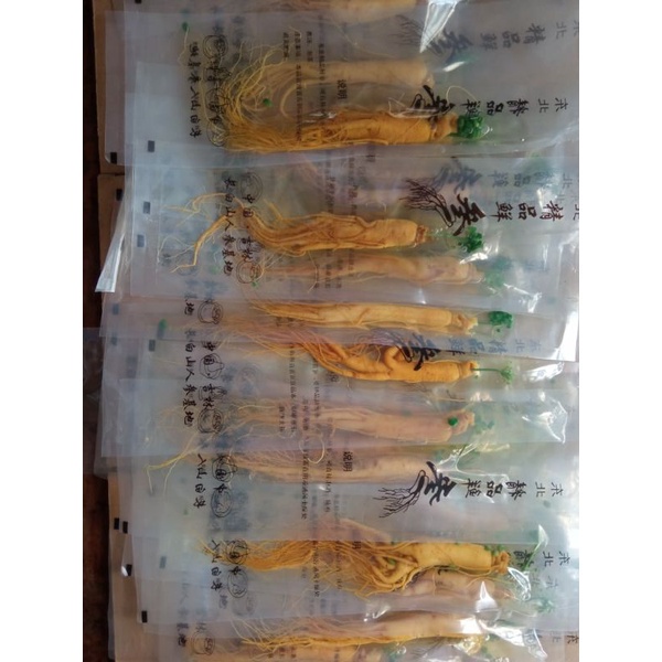 

Paket 10 pcs Ginseng China/ Panax Ginseng Gunung Changbai asli import