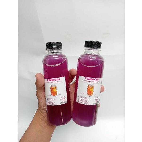 KOMBUCHA BUTTERFLY PEA 250 ML