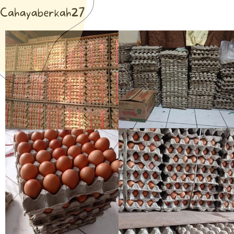 

Telur Ayam 1kg (Packing Tray) Khusus Instant Kurir