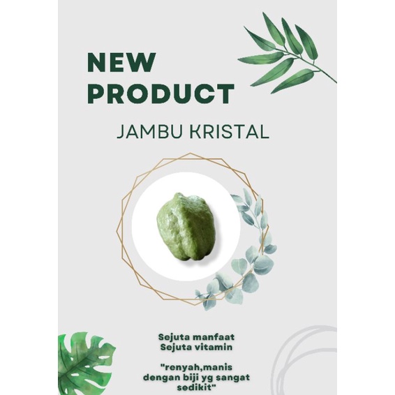 

JAMBU KRISTAL,JAMBU TANPA BIJI