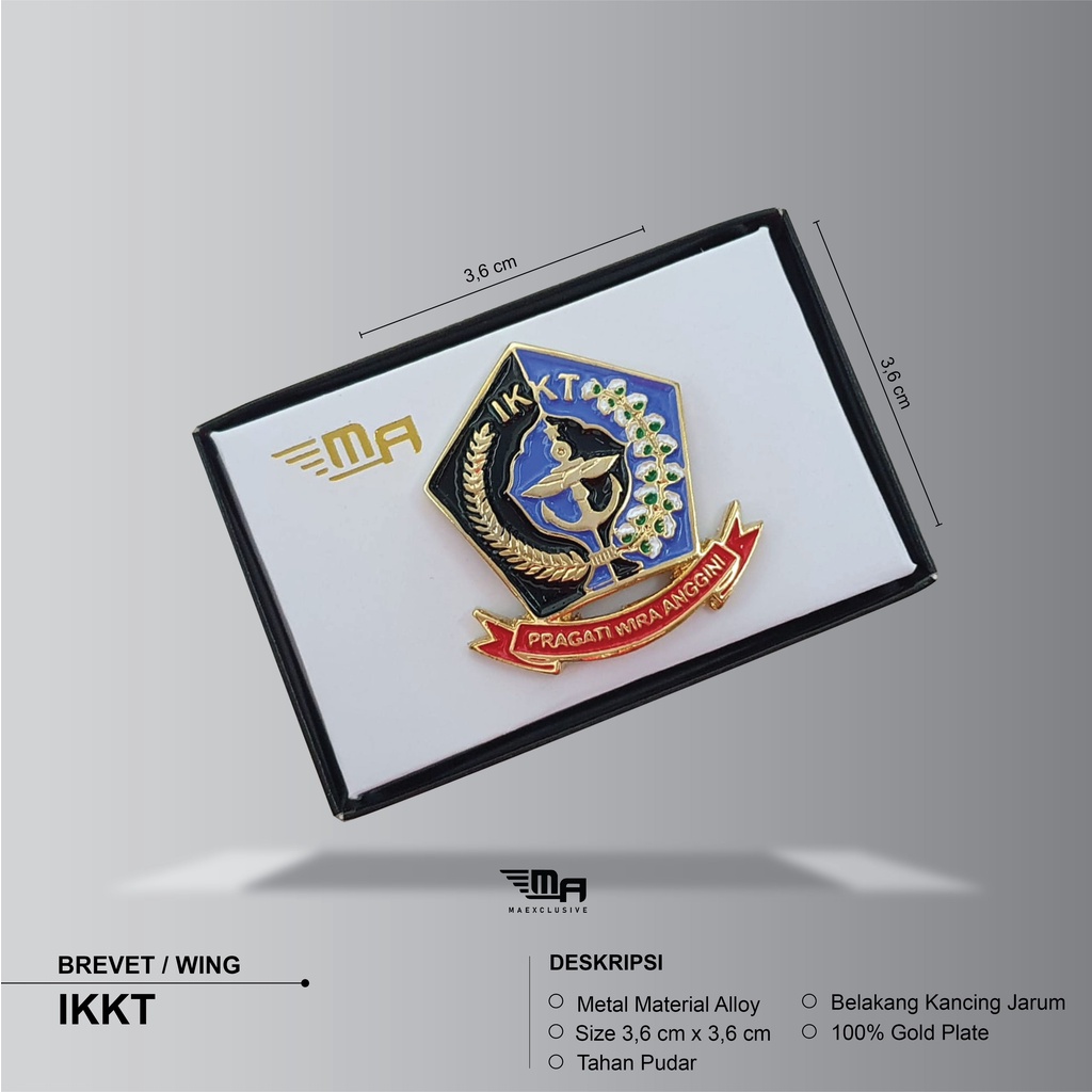 WING IKKT PDH BRIBVET BREVET PIN IKKT