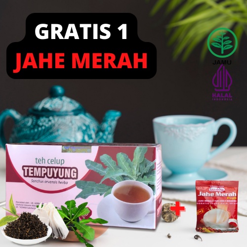 

Teh Celup TEMPUYUNG Asli Tazakka isi 20 kantong Berkhasiat mengobati Batu ginjal Melancarkan buang air kecil Original produk Tazakka HALAL Sudah BPOM