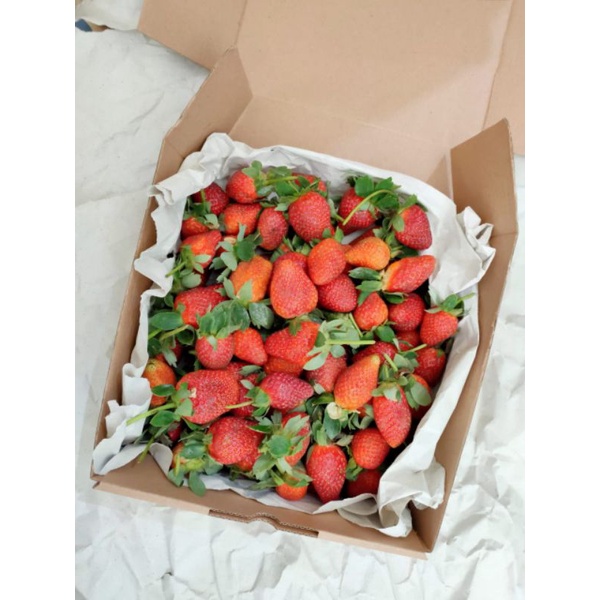 

strawberry fresh organic