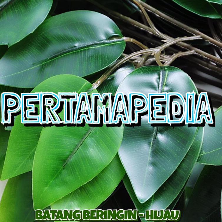 ❇ Lusinan Daun Batang Beringin Latex/Daun Plastik/Daun Hijau/Daun Hiasan/Daun Artificial/Daun Dekora