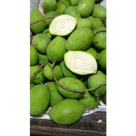 mangga muda 1 kg/ mangga rujak/ rujak/ buah mangga/buah segar