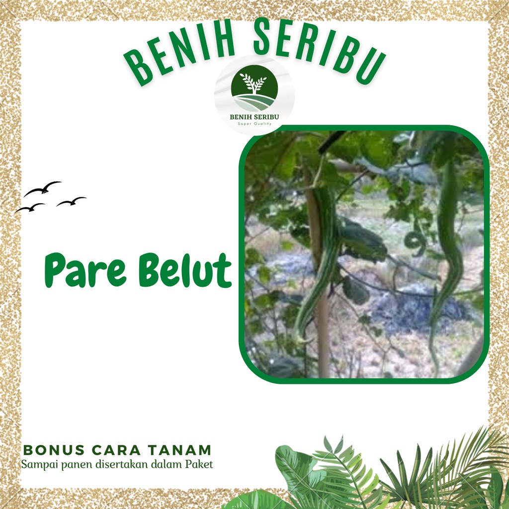 1 Biji - Benih Pare BELUT benih sayuran seribu