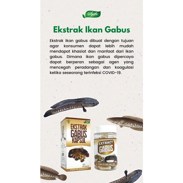 Kapsul Ekstrak Sari Ikan Kutuk Gabus Albumin Untuk Obat Penyembuh Pengering Luka Bakar Diabetes Jahitan Sunat Pasca Melahirkan Operasi Cesar Caesar