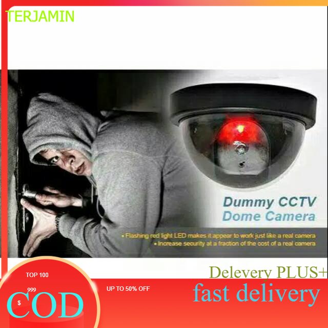 Camera cctv dumy palsu