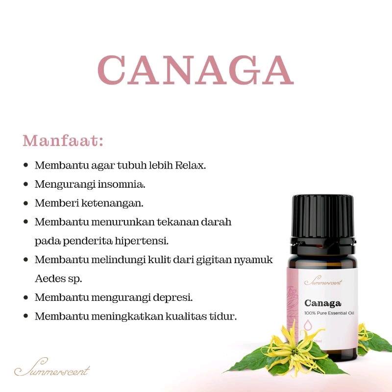 BELI 3 GRATIS 1 HUMIDIFIER ESSENSIAL OIL AROMATHERAPY 10ML (WARNA HUMIDIFIER RANDOM)