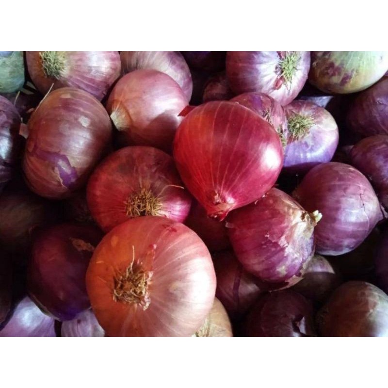 

Bawang Merah India Brambang 1kg