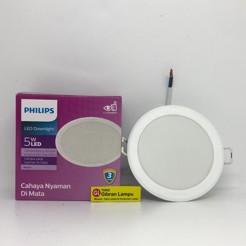 Lampu LED Downlight Panel Philips Meson - LED Plafon IB Philips All Varian Watt