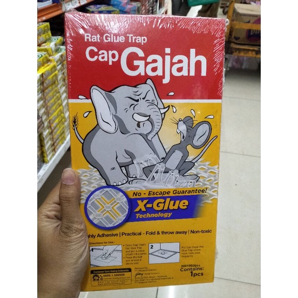 GAJAH RAT GLUE TRAP PERANGKAP TIKUS