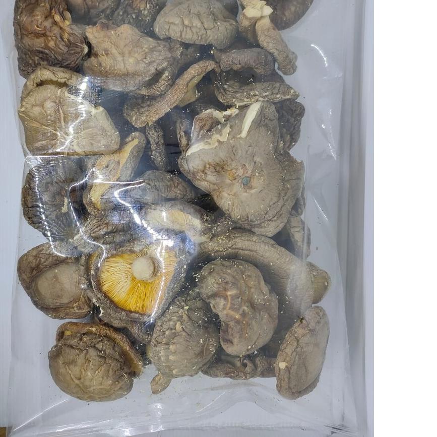 

⅍ 500gr r Hioko - Shitake - Kering - Ukuran Besar ♛