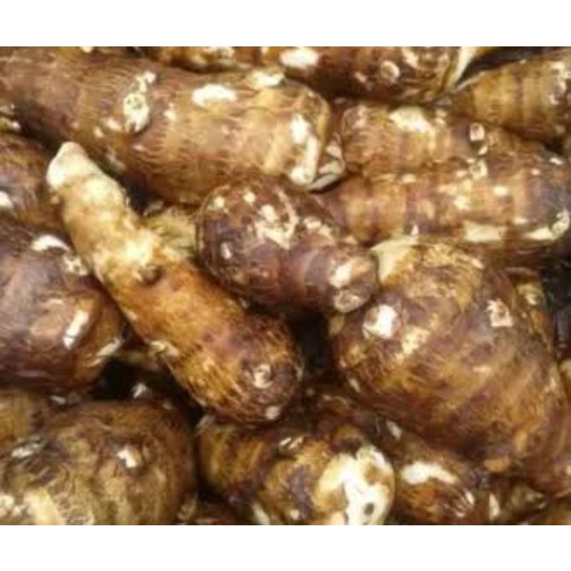 

UBI TALAS PER KG SAYUR SEGAR PALEMBANG