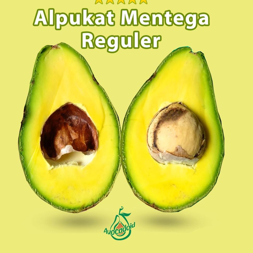 

✨TERBARU✨ Alpukat Mentega Reguler Bergaransi !!!