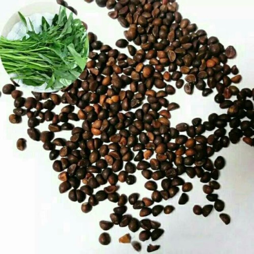 GROSIR 50G BENIH KANGKUNG AMANDA