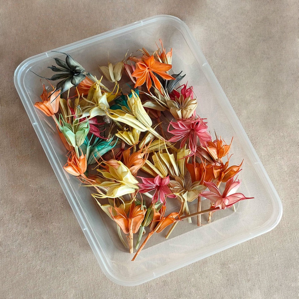 Dried Flower Preserved DIY Rainbow Nigella First Bunga Kering Hias Dekorasi