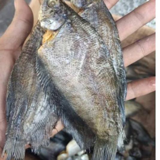 

❁ ikan asin sepat medan-500gram ◌