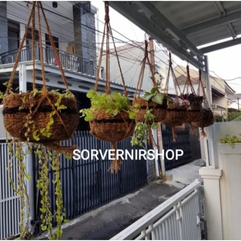 POT CANTIK SERABUT KELAPA MANGKOK BESAR GANTUNG