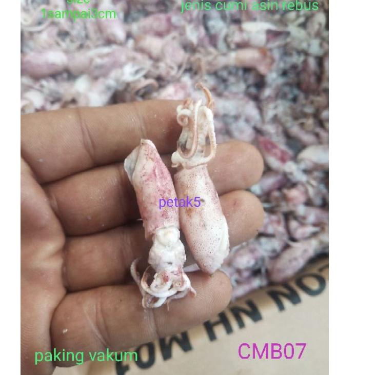 

Grosiran Murah Cumi asin beby 1kg/ cumi asin baby/cumi asin rebus/cumi asin kecil 