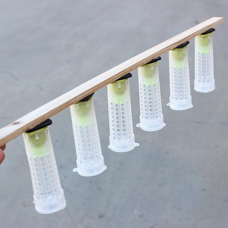 Lebah Madu, Rumah Kurungan ratu Lebah, Tabung Larva Lebah, Budidaya Lebah Madu Top Brand