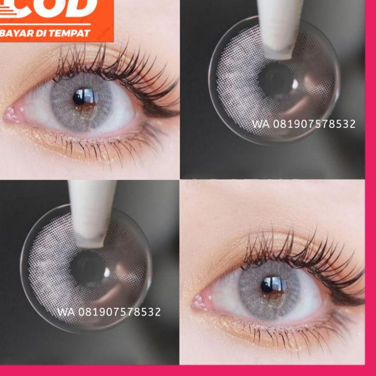 ♪ SOFLENS GREY  Softlens Normal Softlens Minus Softlens Grey Soflens Normal Soflen grey soflen ♨