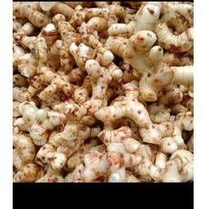 

Lengkuas/Laos Segar Bersih 500g