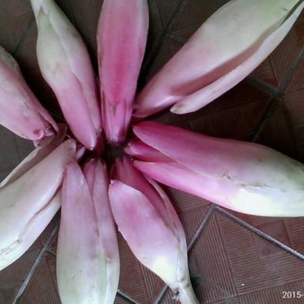 

>D2289) ⭐⭐⭐⭐⭐ Kincung/Kecombrang 1 kg