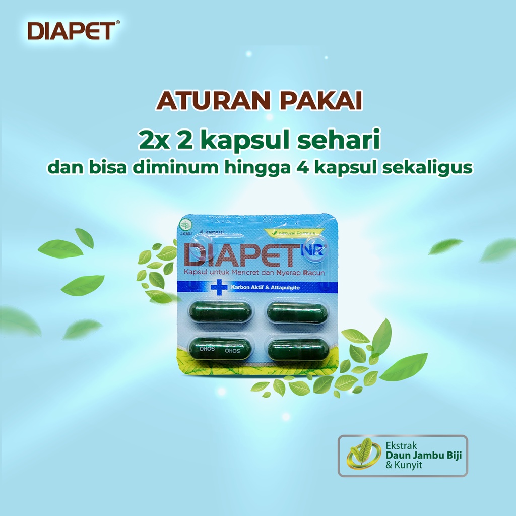 Diapet NR (Nyerap Racun) Kapsul Untuk Mencret 10 Strip isi 4 Kapsul