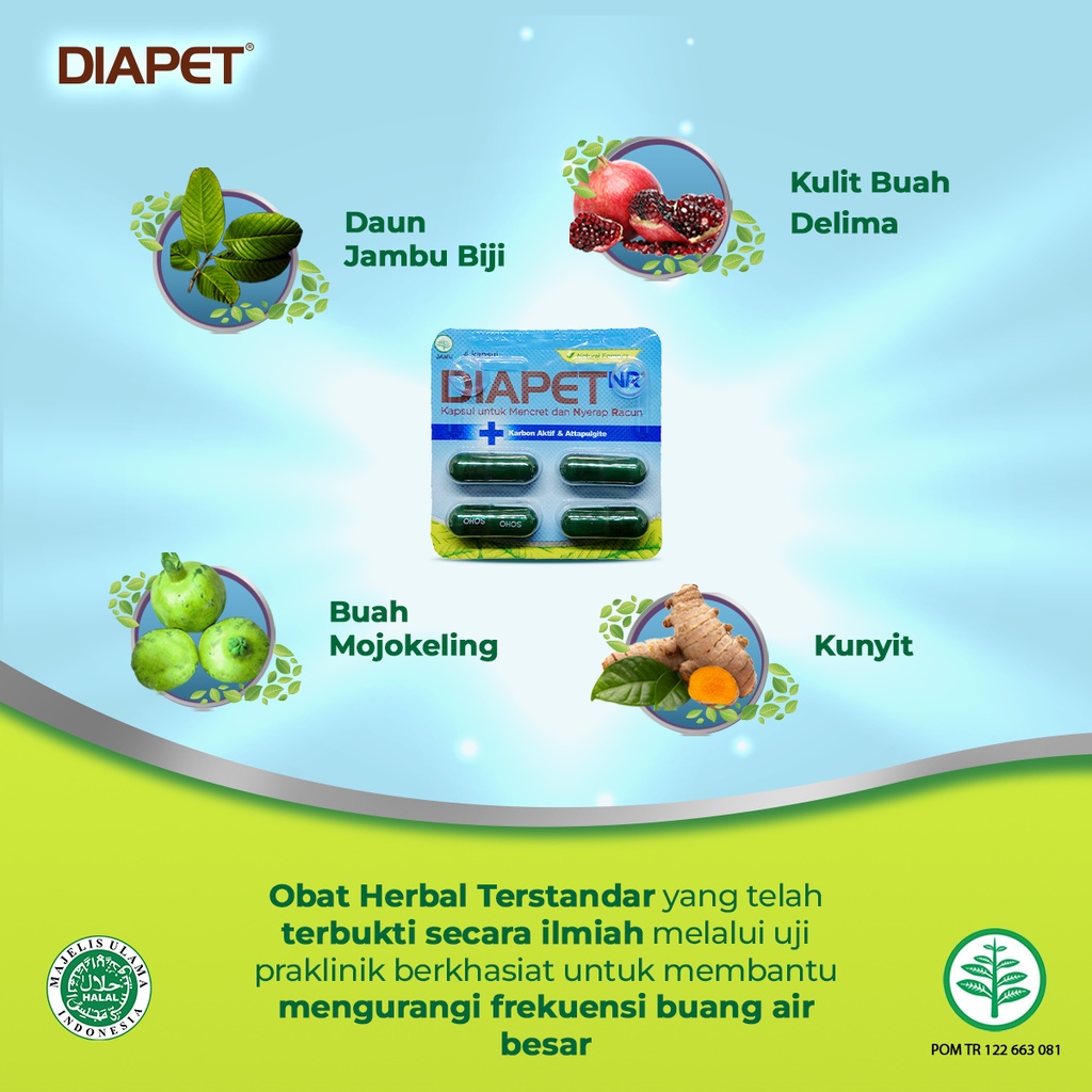 Diapet NR (Nyerap Racun) Kapsul Untuk Mencret 10 Strip isi 4 Kapsul