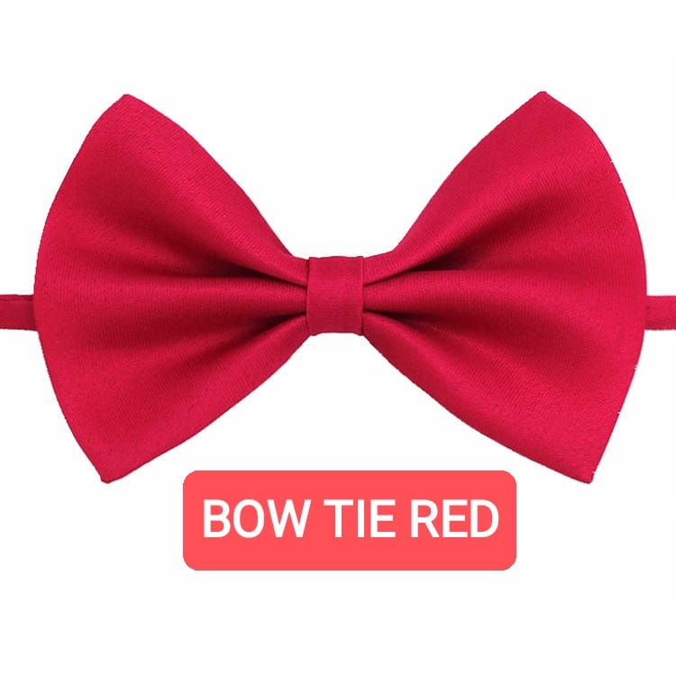 BOW TIE DASI KUPU KUPU SUSPENDER ANAK REMAJA COWOK FASHION KOREA CASUAL FORMAL IMPORT