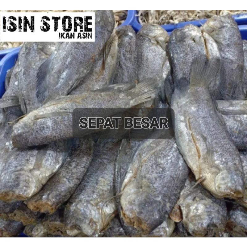 

ikan asin sepat besar 1kg murah,sepat asin jumbo,ikan sepat,best seller