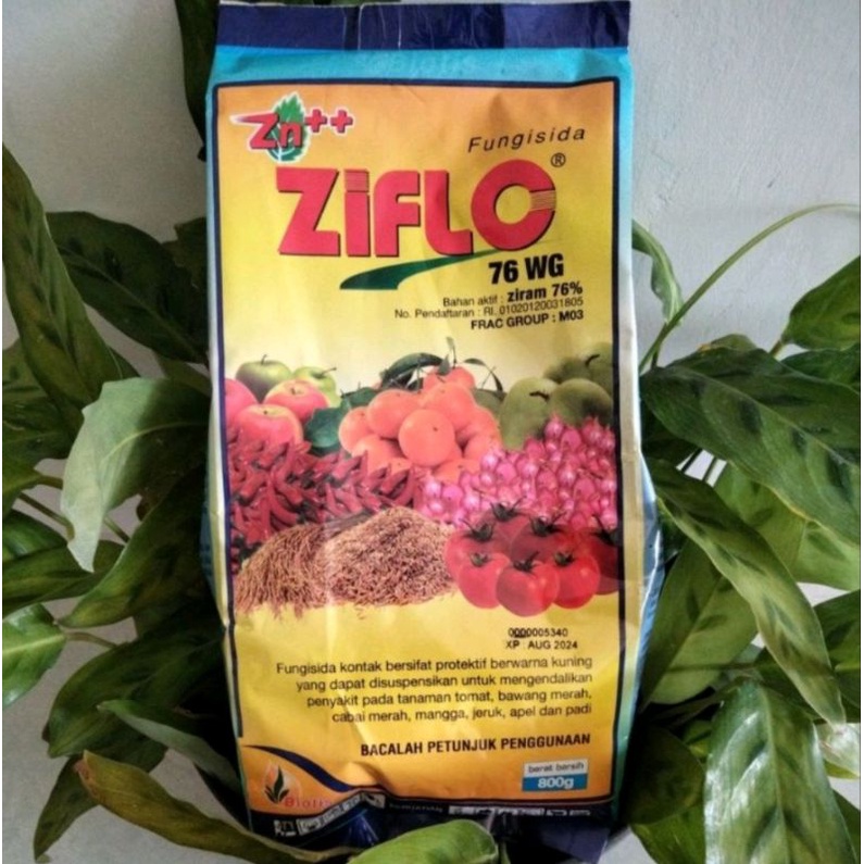 Fungisida Ziflo 76WG 800grm