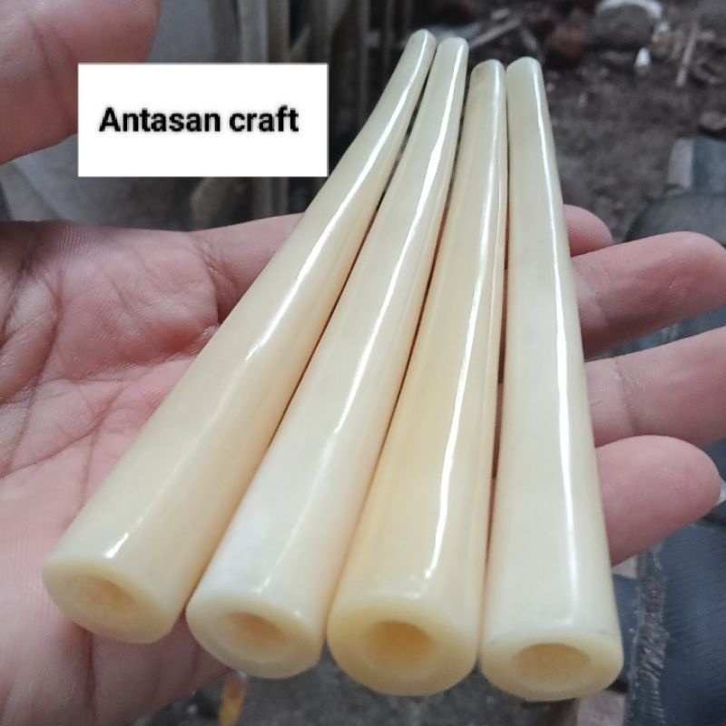 once pipa tulang sapi