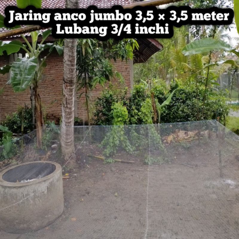 Jaring anco jumbo ukuran 350 × 350 cm lubang 3/4 inchi senar 0,28